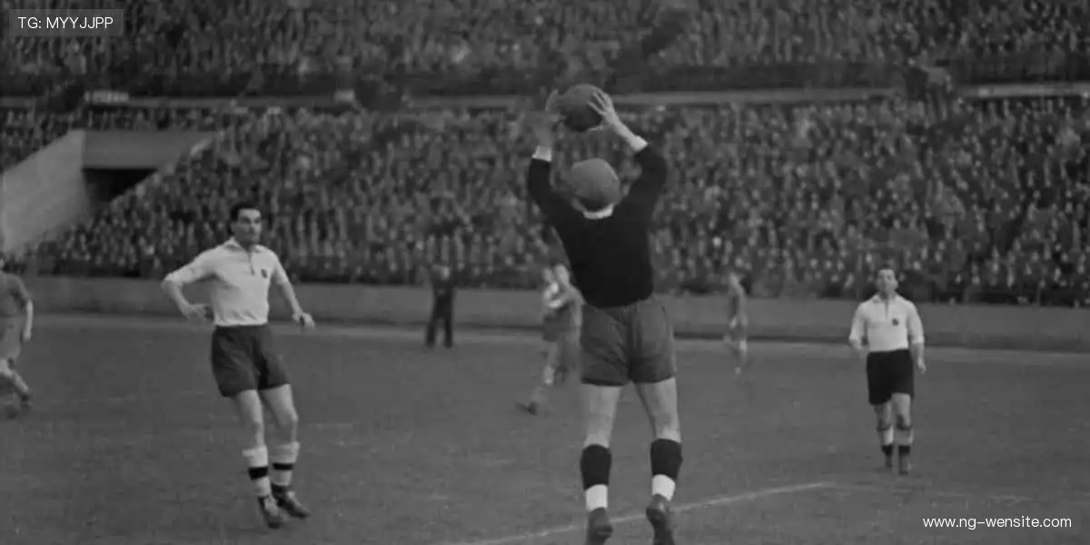 球星同款，限量周边，打造你的专属风格！👟🏆